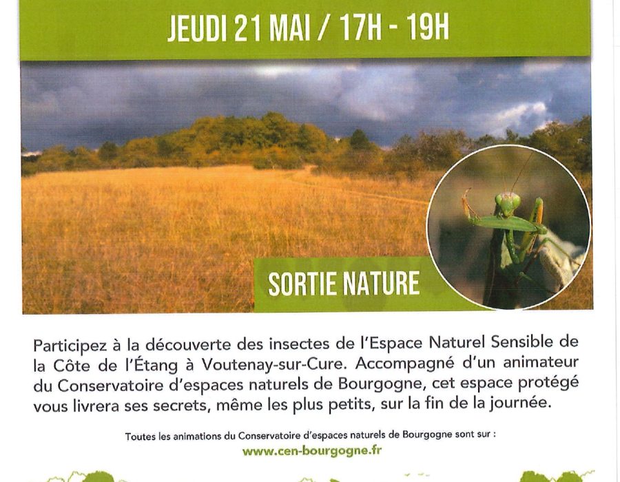 21-mai-sortie-nature-voutenay-sur-cure-page-0001
